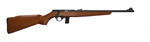 Mossberg & Sons 802 Plinkster .22 LR Bolt Action Rifle