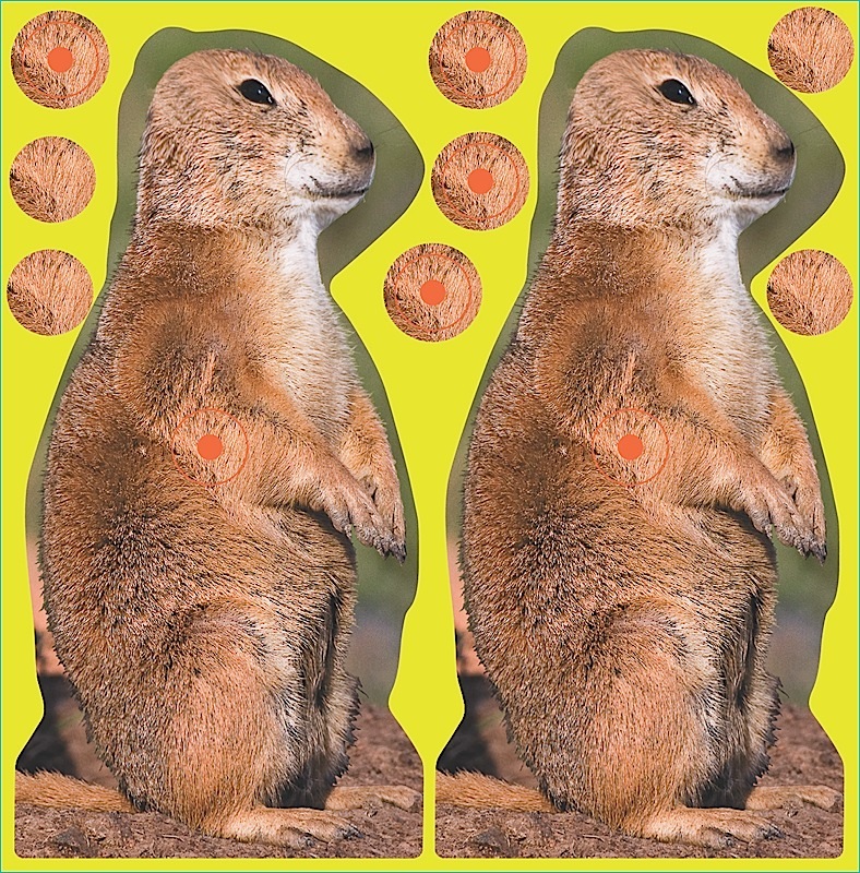 Birchwood Casey Shoot-N-C Reactive 12 8 Prairie Dog I