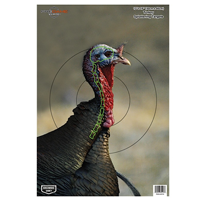 Birchwood Casey Pregame Animal Targets Turkey 12x18