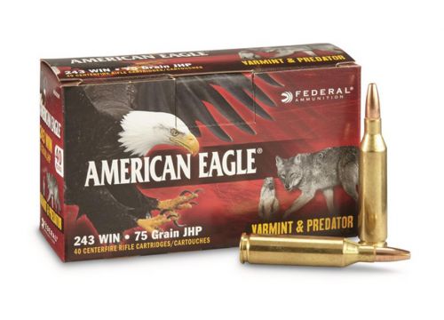 AMERICAN EAGLE VARMINT & PREDATOR 243WIN  75GR JHP 40RD BOX