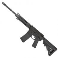 ArmaLite M15 Battalion AR-15 5.56 NATO Semi Auto Rifle - 15EA01 ArmaLite M15 Battalion AR-15 5.56 NATO Semi Auto Rifle - 15EA01