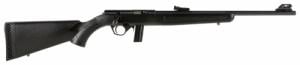 Ruger 10/22 Carbine .22 LR Black Syn w/Scope & Case Ruger 10/22 Carbine .22 LR Black Syn w/Scope & Case