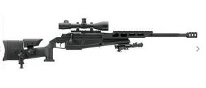 SIG RTAC2-H25B-300 - SIG 10699