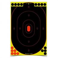 BIR 34603 SHOOT-N-C 12X18 SILHOUETTE TRGT 100 - 90