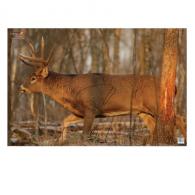 Birchwood Casey EZE-Scorer Paper 23" x 35" Whitetail Deer 2 Per Pack - 37481 Birchwood Casey EZE-Scorer Paper 23" x 35" Whitetail Deer 2 Per Pack - 37481