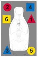 Action Target Muli-Purpose Anatomy and Command Silhouette Paper Target 23" x 35" 100 Per Box - DTANTQA100 Action Target Muli-Purpose Anatomy and Command Silhouette Paper Target 23" x 35" 100 Per Box - DTANTQA100