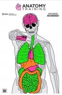 ACTION TARGET INC GS-ANATOMY-100 Anatomy Training Target Paper 23" x 35" Silhouette/Vitals Black/Gray/Green/Orange/Pink 100 Per - GSANATOMY100 ACTION TARGET INC GS-ANATOMY-100 Anatomy Training Target Paper 23" x 35" Silhouette/Vitals Black/Gray/Green/Orange/Pink 100 Per - GSANATOMY100