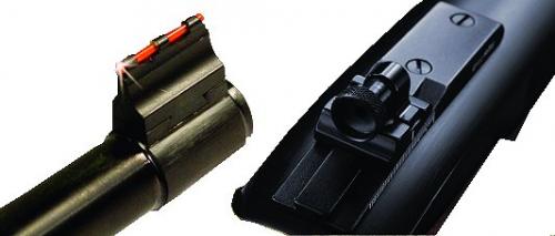 Main product image for Williams Peep Sights For Ruger 10/22