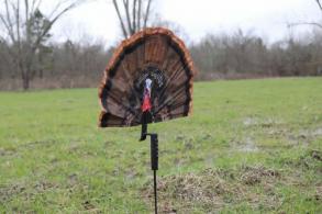 Mojo Fatal Fan Decoy - HW2497