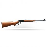 CHIAPPA LA322 Takedown CARBINE .22 LR 18.5"