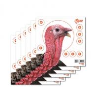 Allen EZ Aim Four Color Paper 12" x 12" Turkey 6 Per Pack - 15322 Allen EZ Aim Four Color Paper 12" x 12" Turkey 6 Per Pack - 15322