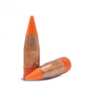 CVA Powerbelt ELR 40 Cal AeroTip 220 gr 15 - AC1300AT CVA Powerbelt ELR 40 Cal AeroTip 220 gr 15 - AC1300AT