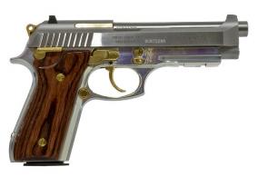 Taurus 100SSGR-11 40SW 5" FS GLDRSW Stainless