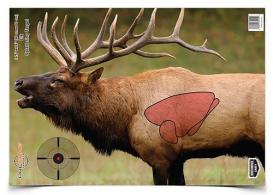 BIR PRGM 16 5X24 ELK 3PK - BC-35404