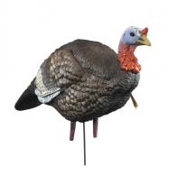 Higdon Outdoors Hard Body 1/4 Strut Jake Turkey Jake Species Multi Color