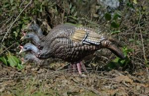 Higdon Outdoors XS Trufeeder Motion Turkey Hen Species Multi Color Features TruMotion System