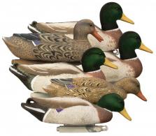 Higdon Outdoors Magnum Floaters Mallard Species Multi Color Foam Filled 6 Pack - 17053 Higdon Outdoors Magnum Floaters Mallard Species Multi Color Foam Filled 6 Pack - 17053