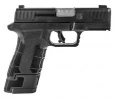 Diamondback Firearms DBAM29 Sub-Compact 9mm Luger Caliber with 3.50", 12+1 or 17+1, Black Finish Picatinny Rail