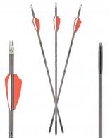Rocky Mountain Axe 440 Bolt Combo Pack Gray/Orange/White 19" 3 Bolts and 3 Lighted Nocks - AX10004