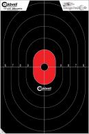 CALD CENTER MASS SLHOLTT TRGT 8PK - 1175522