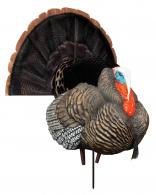 Higdon Outdoors Hard Body Apex Strutter Turkey Tom Species Multi Color - 63148