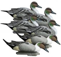 Higdon Outdoors Battleship Pintail Pintail Species Multi Color Foam Filled 6 Pack - 16544