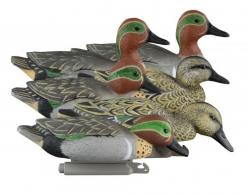 Higdon Outdoors Standard Teal Green Wing Teal Species Multi Color Foam Filled 6 Pack - 19943 Higdon Outdoors Standard Teal Green Wing Teal Species Multi Color Foam Filled 6 Pack - 19943