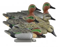 Higdon Outdoors Standard Teal Green Wing Teal Species Multi Color Foam Filled 6 Pack - 19943