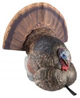 Avian X AVX-AVX8004 LCD Strutter Turkey Species Multi Color Dura-Rubber - AVXAVX8004 Avian X AVX-AVX8004 LCD Strutter Turkey Species Multi Color Dura-Rubber - AVXAVX8004