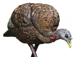 Avian X AVX-AVX8007 LCD Feeder Hen Turkey Species Multi Color Dura-Rubber - AVXAVX8007
