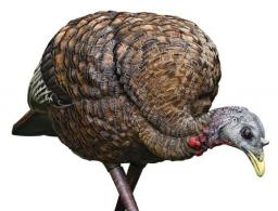 Avian X AVX-AVX8007 LCD Feeder Hen Turkey Species Multi Color Dura-Rubber - AVXAVX8007