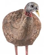 Avian X AVX-AVX8008 LCD Breeder Hen Turkey Species Multi Color Dura-Rubber - AVXAVX8008