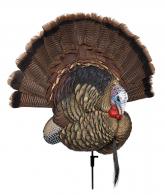 Avian X AVX-AVX8021 Trophy Tom Turkey Species Multi Color - AVXAVX8021