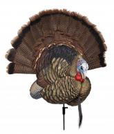 Avian X AVX-AVX8021 Trophy Tom Turkey Species Multi Color - AVXAVX8021