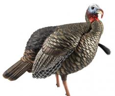 Avian X AVX-AVX8105 HDR Jake Decoy Bag Species Multi Color - AVXAVX8105