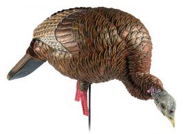 Avian X AVX-AVX8107 HDR Feeding Hen Turkey Species Multi Color - AVXAVX8107