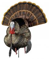 Avian X AVX-AVX8108 HDR Strutter Turkey Species Multi Color - AVXAVX8108