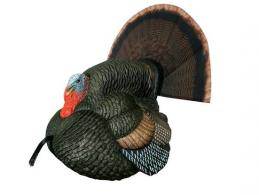 Primos 69076 Lil' Gobblestopper Strutter Box Call Turkey Sounds - 299 Primos 69076 Lil' Gobblestopper Strutter Box Call Turkey Sounds - 299