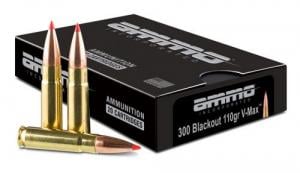 Signature 300 Black 110gr V-Max 20rd