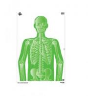 ALLEN EZ AIM 12"X18" IMPOSING 8PK - 15645 ALLEN EZ AIM 12"X18" IMPOSING 8PK - 15645