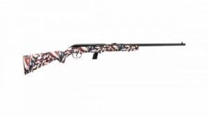Savage 64F .22LR Semi-auto Rifle - 40222 Savage 64F .22LR Semi-auto Rifle - 40222