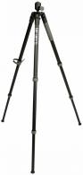 Bog-Pod 1209008 ARCA Tripod - 282