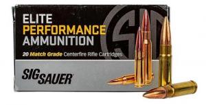 Sig Sauer T300Black110TTX2 .300 Black 110 gr 20 Per Box/ 10 Case - T300BLK110TTX2 Sig Sauer T300Black110TTX2 .300 Black 110 gr 20 Per Box/ 10 Case - T300BLK110TTX2