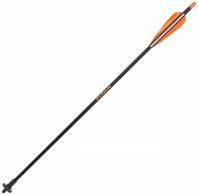 Allen Crossbow Decocking Bolt Multi-Color 24" Fiberglass - 93340