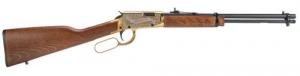 Rossi Rio Bravo Doc Holiday .22 LR RIFLE 18" BLK/GOLD PVD Engraved, WOOD 15RD - RL22181WDGDH