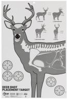 Allen Deer Vitals Corrugated Target 23X35 - 15810