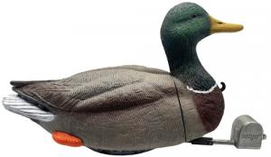 MOJO DABBLER DUCK - HW2554