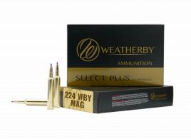 Weatherby 224WthbyMag 37gr Hammer Custom 20 Per Box/10 Case - M22437HCB