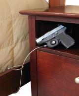 PSPI LDTL LOCK DOWN TRGGR LOCK W/CABLE - LDTL
