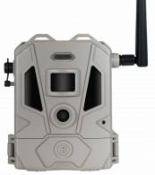 Bush119904D Cellucore 20 Dual SIM Tan, Box - 145